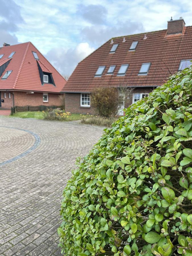 Haus Delphin - 1 *